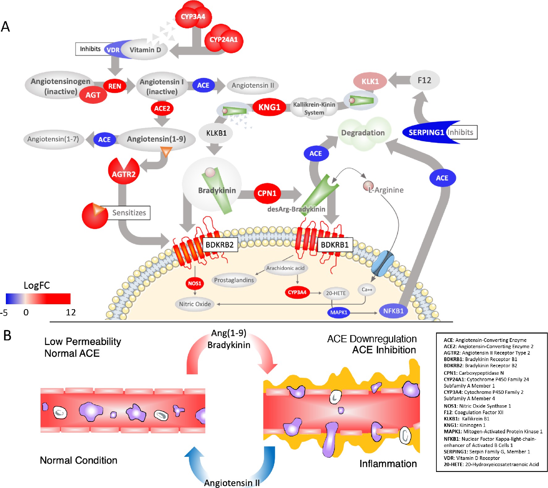 Supporting figure for Vitamin D and Covid: A Review